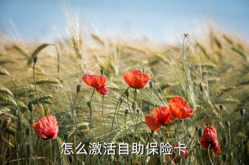 怎么激活自助保險卡