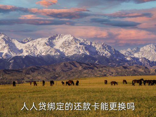 人人貸怎么換銀行卡，向人人貸借兩萬(wàn)元說銀行卡號(hào)錯(cuò)誤需銀行改卡號(hào)說需要交八千
