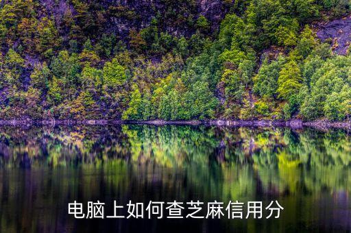 電腦上如何查芝麻信用分
