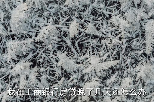 我在工商銀行房貸晚了幾天還怎么辦