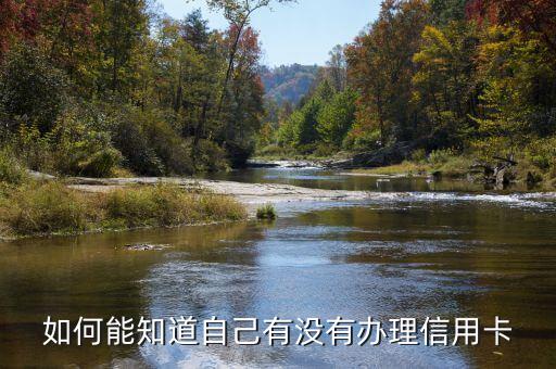 我有沒有辦信用卡怎么查詢嗎，我怎么查自己有沒有辦過信用卡