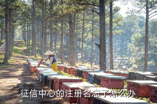 征信注冊名字怎么辦，征信用戶名可以修改嗎