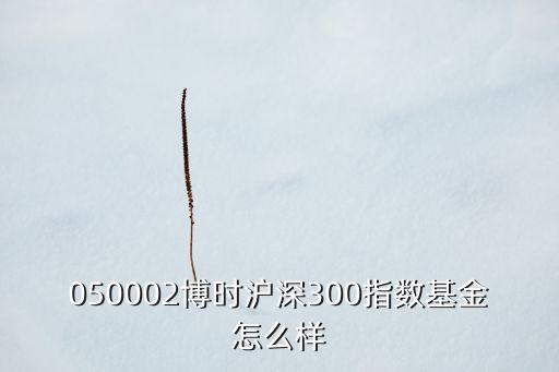 050002基金定投怎么樣，050002博時(shí)滬深300指數(shù)基金怎么樣