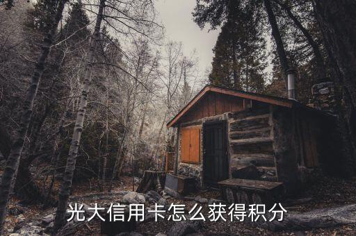 光大信用卡怎么獲得積分