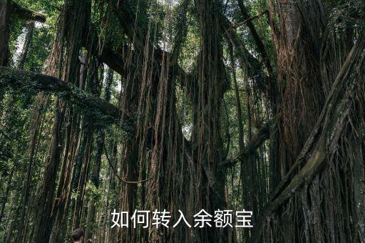 余額寶里怎么轉(zhuǎn)入，如何轉(zhuǎn)入余額寶