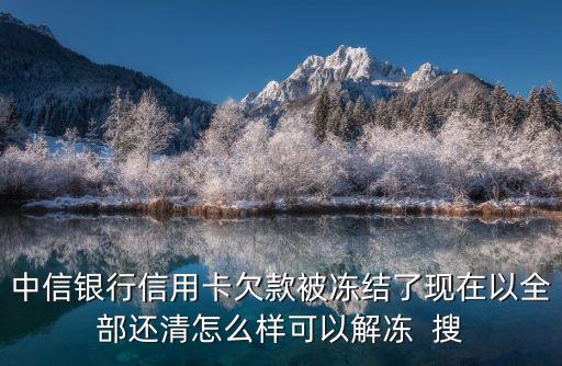 中信銀行信用卡欠款被凍結(jié)了現(xiàn)在以全部還清怎么樣可以解凍  搜