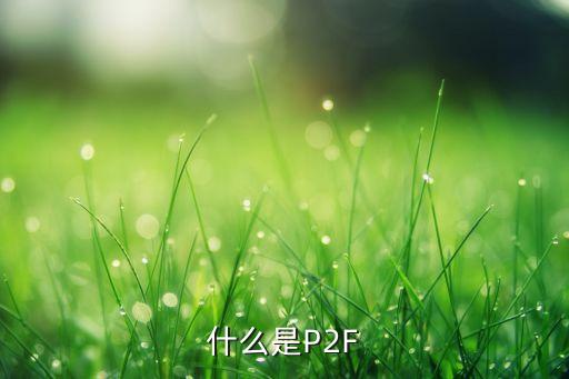 什么是P2F