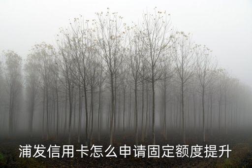 浦發(fā)信用卡怎么申請(qǐng)固定額度提升