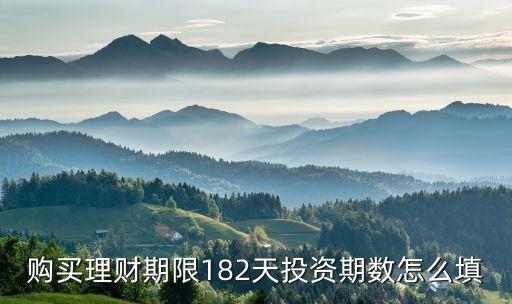 理財投資期數(shù)怎么填，購買理財期限182天投資期數(shù)怎么填