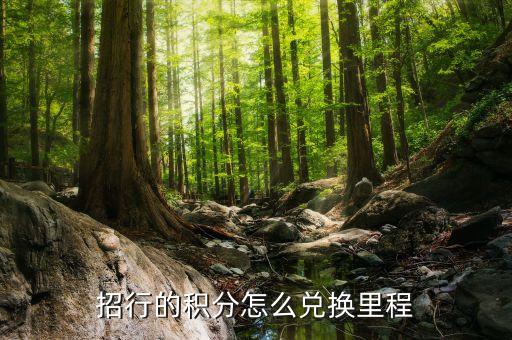招商積分怎么換里程，招行的積分怎么兌換里程