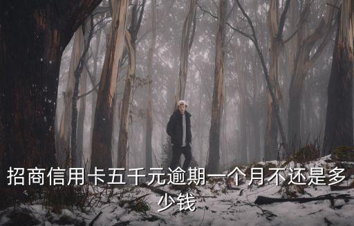 招商信用卡五千元逾期一個(gè)月不還是多少錢