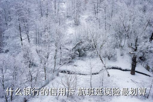 什么銀行的信用卡 航班延誤險(xiǎn)最劃算