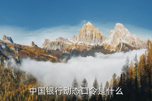 中行動(dòng)態(tài)口令怎么獲得，中國銀行哪的動(dòng)態(tài)口令怎么能拿到