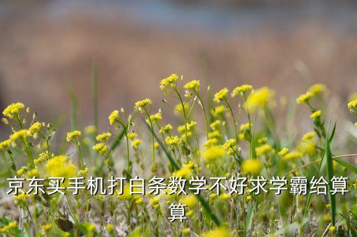 京東買(mǎi)手機(jī)白條怎么算，求大神告訴我京東白條的利息是怎么算的