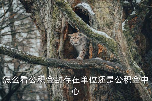 怎么看公積金封存在單位還是公積金中心