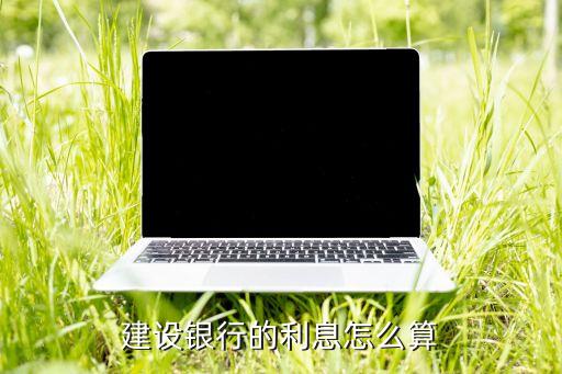 建設(shè)銀行貸款的利息怎么計(jì)算，建設(shè)銀行的利息怎么算