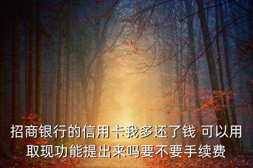 招商銀行的信用卡我多還了錢 可以用取現(xiàn)功能提出來嗎要不要手續(xù)費