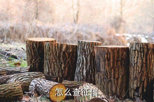 個(gè)人征信柜臺(tái)怎么查詢，個(gè)人征信怎么查