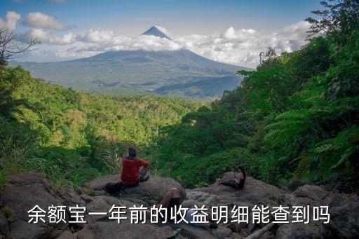 余額寶一年前的收益明細(xì)能查到嗎