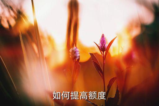 如何提高額度
