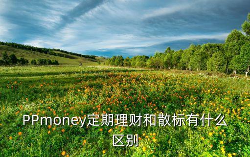 PPmoney定期理財和散標有什么區(qū)別