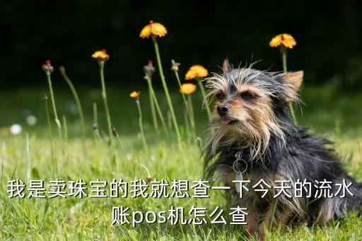 怎么看pos機(jī)結(jié)算，我是賣珠寶的我就想查一下今天的流水賬pos機(jī)怎么查