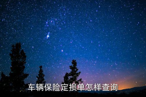 車輛保險定損單怎樣查詢