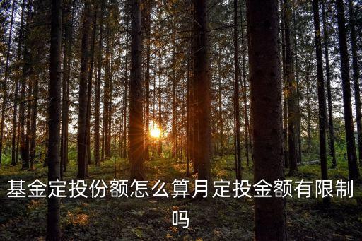 基金定投份額怎么算月定投金額有限制嗎