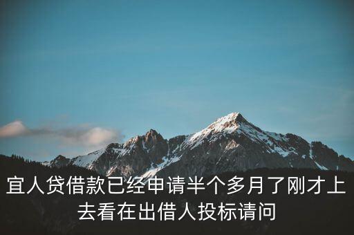 宜人貸借款已經申請半個多月了剛才上去看在出借人投標請問