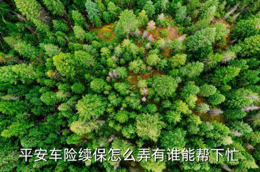 平安車(chē)險(xiǎn)續(xù)保怎么弄有誰(shuí)能幫下忙