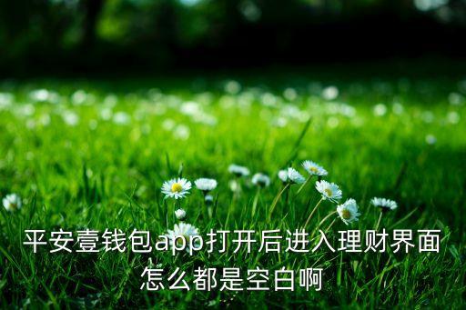 平安壹錢包app打開后進(jìn)入理財(cái)界面怎么都是空白啊
