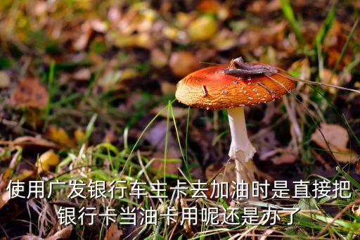 使用廣發(fā)銀行車主卡去加油時(shí)是直接把銀行卡當(dāng)油卡用呢還是辦了