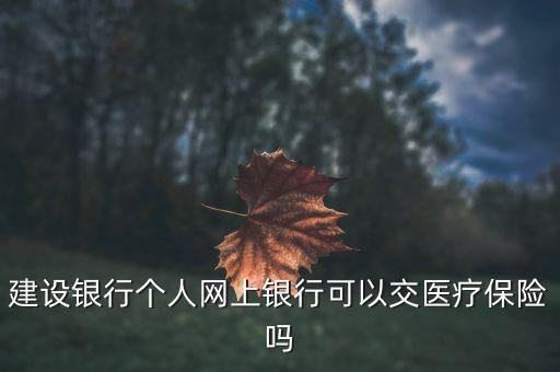 建行醫(yī)療卡怎么交費(fèi)，建行怎么續(xù)交醫(yī)療保險(xiǎn)