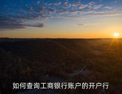 工行開戶支行怎么查，如何查詢工商銀行賬戶的開戶行