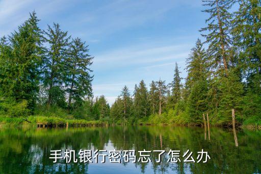 手機(jī)銀行登入密碼忘記怎么辦，手機(jī)銀行密碼忘了怎么辦