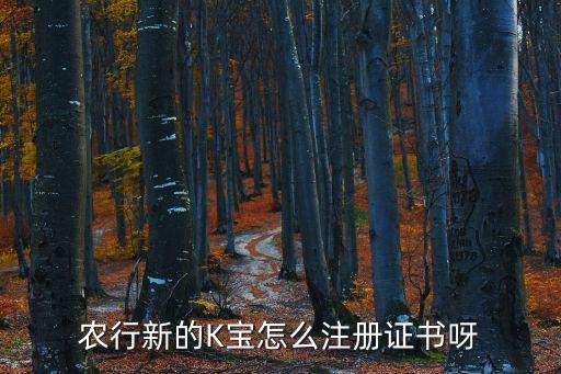 農行新的K寶怎么注冊證書呀