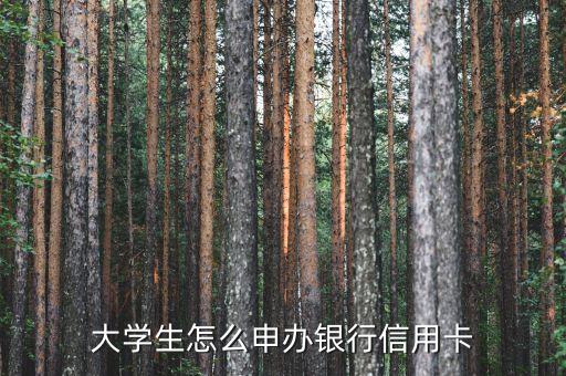 大學(xué)生怎么申辦銀行信用卡