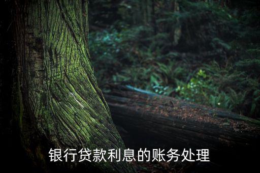 銀行借款利息怎么做賬，計(jì)提銀行借款利息的賬務(wù)如何處理