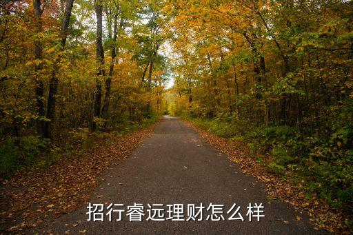 招行睿遠理財怎么樣