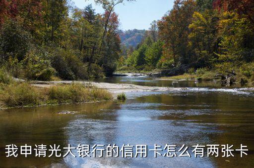 我申請光大銀行的信用卡怎么有兩張卡
