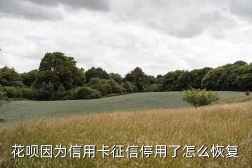 花唄因為信用卡征信停用了怎么恢復