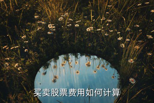 買賣股票怎么計算，股票怎樣計算買賣費用求其公式會的朋友給說說