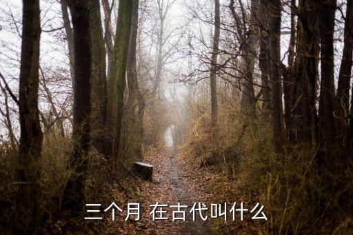 三個(gè)月 在古代叫什么