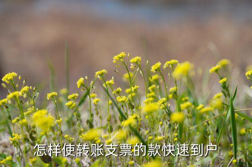 怎樣使轉(zhuǎn)賬支票的款快速到戶