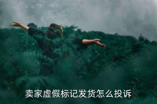 賣家虛假標記發(fā)貨怎么投訴
