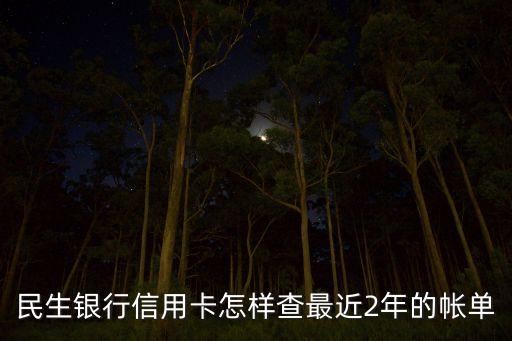 銀行怎么查2年的賬單，民生銀行信用卡怎樣查最近2年的帳單