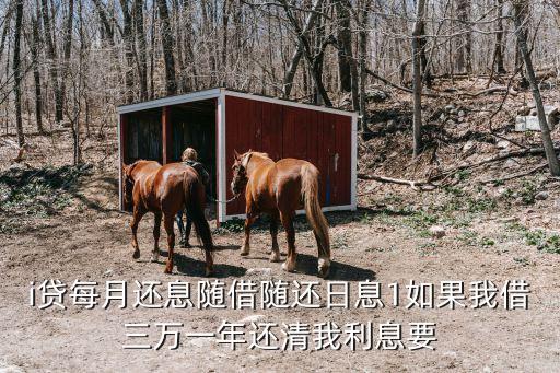 中行e貸隨借隨還怎么還，i貸每月還息隨借隨還日息1如果我借三萬(wàn)一年還清我利息要