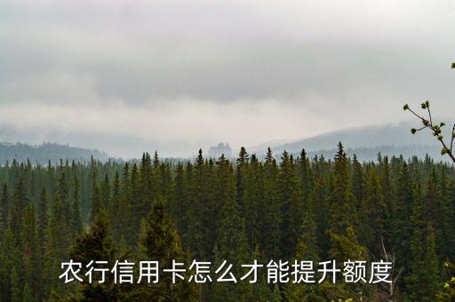 農(nóng)行信用卡怎么才能提升額度