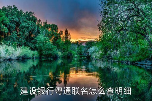 建行粵卡通怎么查詢，建設(shè)銀行粵通聯(lián)名怎么查明細(xì)