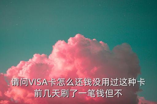 刷了visa怎么還款，請問VISA卡怎么還錢沒用過這種卡前幾天刷了一筆錢但不